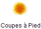 Coupes � Pied