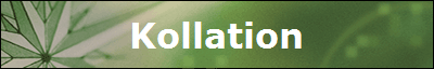 Kollation