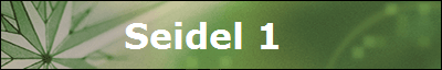 Seidel 1   